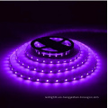 Tira de LED morado Ce y Rhos 30SMD5050